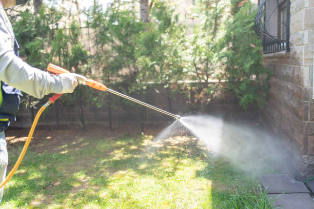 Emergency Pest Control in Thomaston, GA